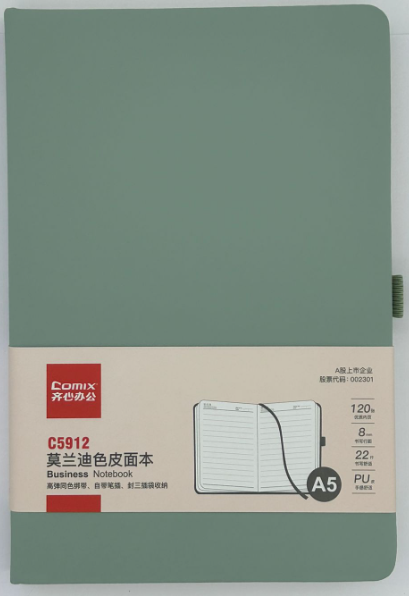 Comex - hardcover notebook with pen holder, 120 sheets - A5 size - light green
