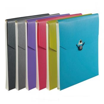 Comex - Expanding Plastic File Folder, A4 Size, Multi-Colour
