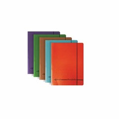 Basil Brothers - Premium cardboard file with elastic, size F/C