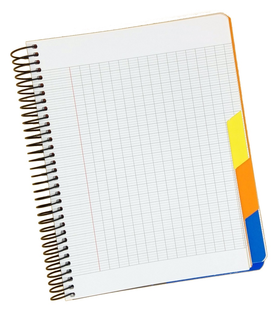 Basil Brothers - French wire notebook, large squares, 3 subjects, 144 pages