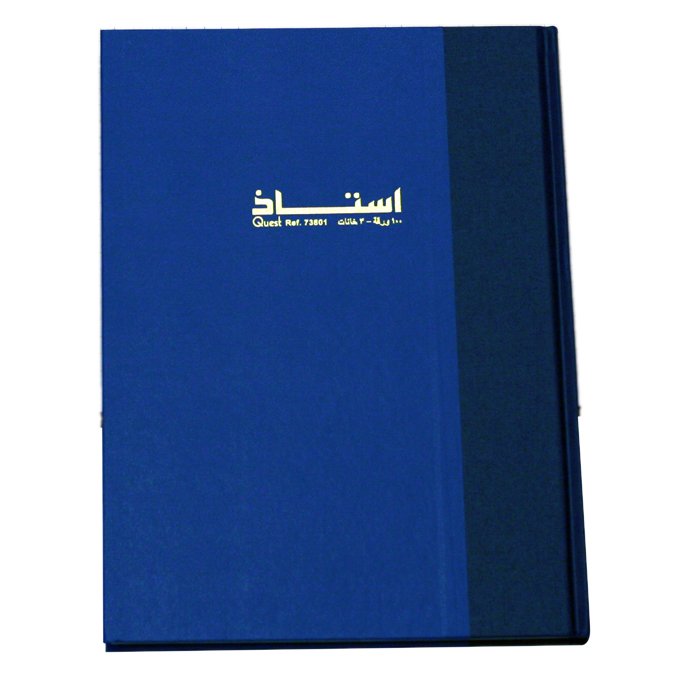 Ledger notebook, 192 sheets - 3 columns - B4 size - colored