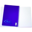 Basil Brothers - Large lined notebook, 96 sheets, B5 plastic cover
