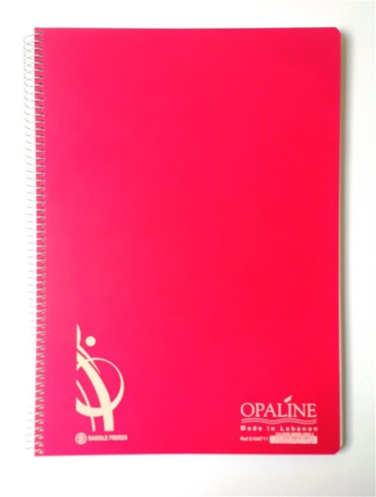 Basil Brothers - English wire notebook, 96 sheets, 70 gsm, opaline, A4 size