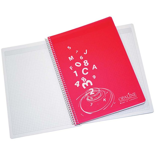 Basil Brothers - Opaline wire notebook, small squares, plastic cover, 96 sheets, A4 size
