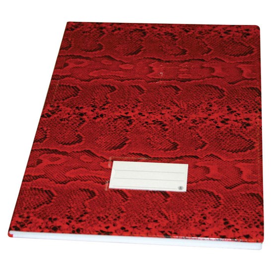 Basil Brothers - 3-line commercial record book - 200 sheets - size F/C