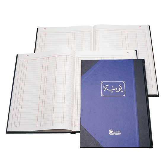 Basil Brothers - Daily notebook, 288 sheets, 3 squares, studded - size B4 - multi-colored