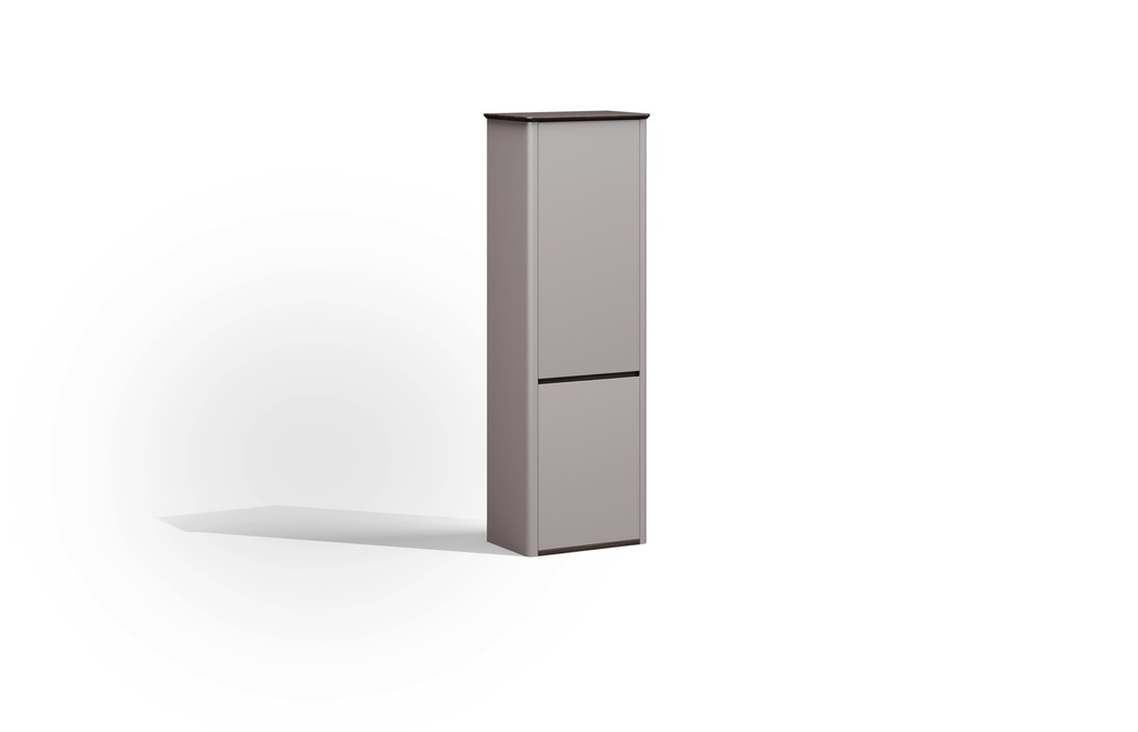 Luxurious and modern office cabinet