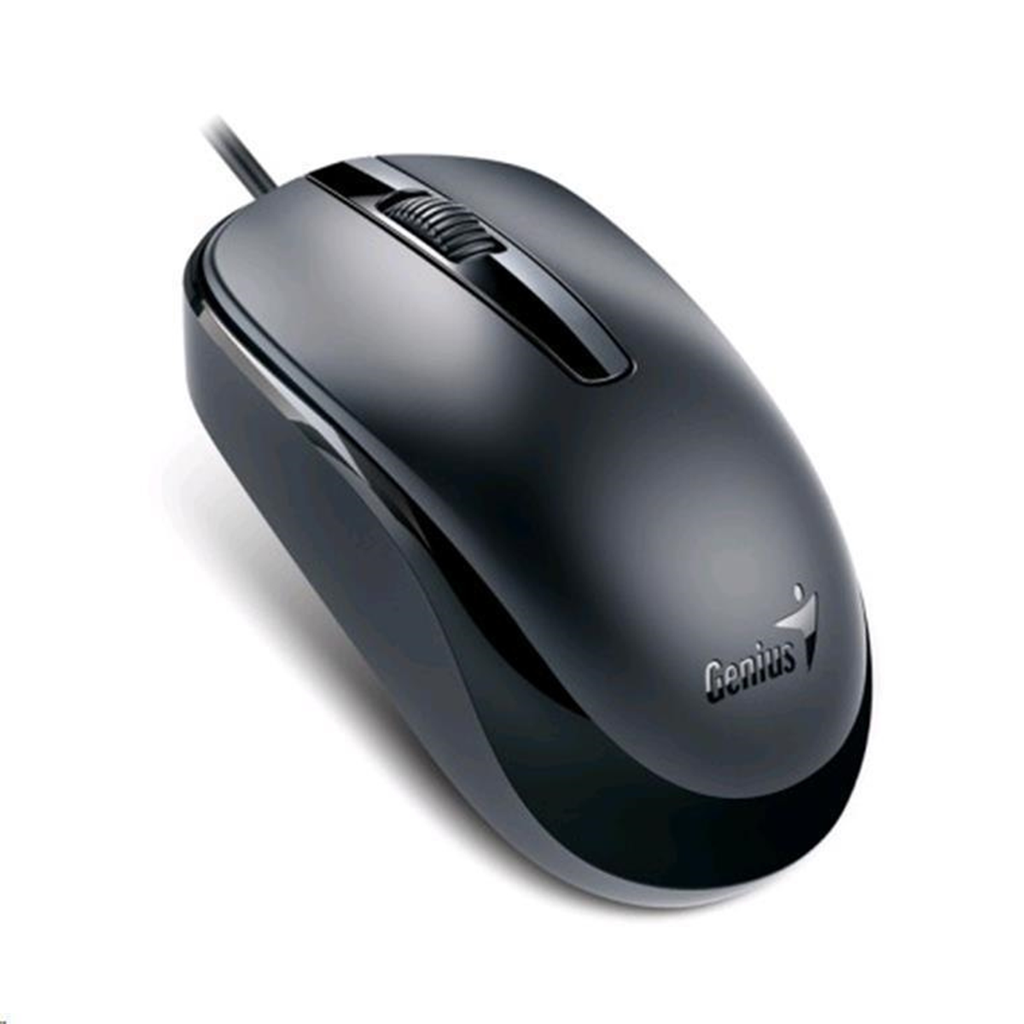 MOUSE GENIUS DX–120 USB BLK 3 BUTTON 1000DPI