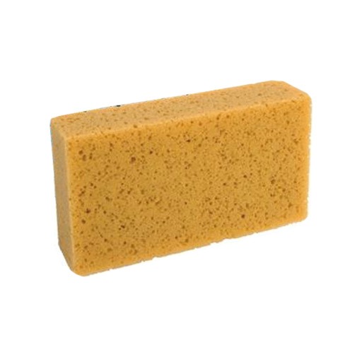 sponge