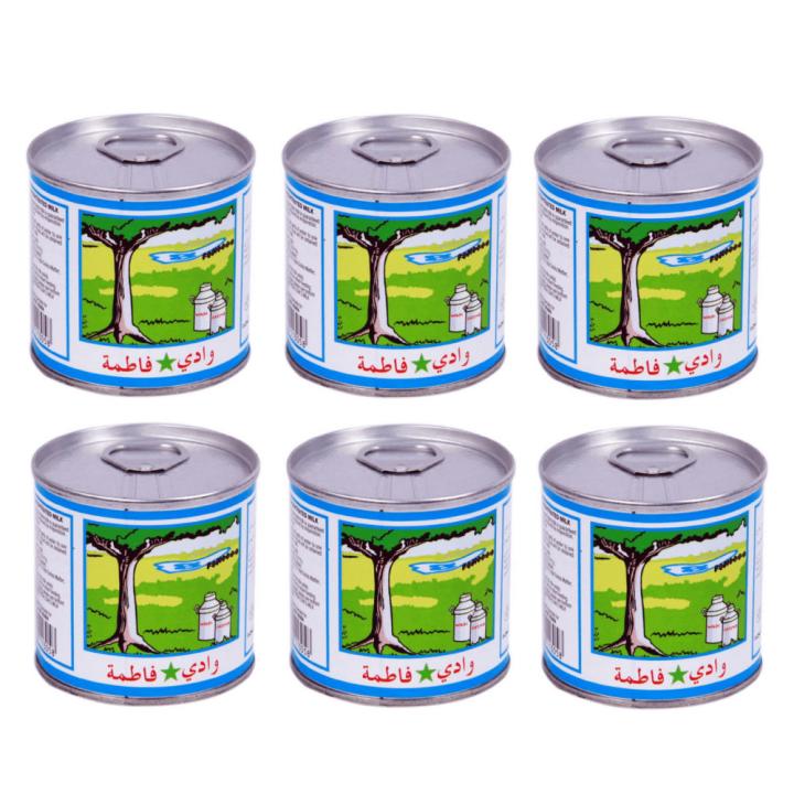 وادي فاطمة حليب مركز كامل الدسم 170 غرام - مجموعة 6 علب