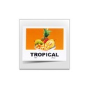 كولومبيا تروبيكال | محمصة آش | لاهوائي بايحاء الفواكه الاستوائية