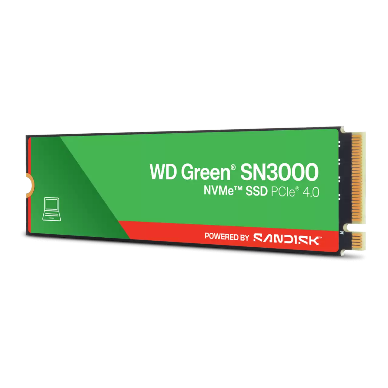محرك الأقراص الصلبة WD 500 جيجابايت SSD M.2